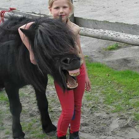 Schaferhof Dircks * Vesterhever